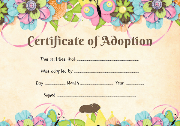 colourful guinea pig adoption certificate
