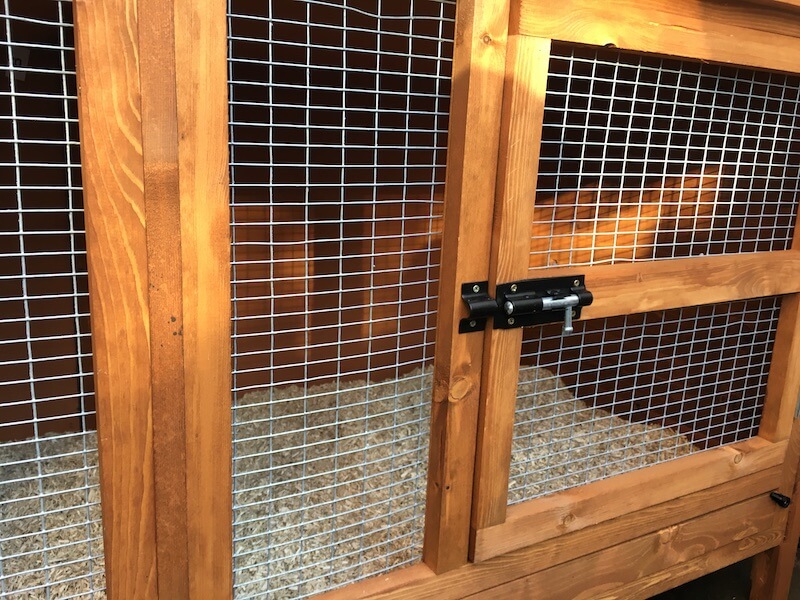 Guinea pig hutch front showing wire,  door and lock