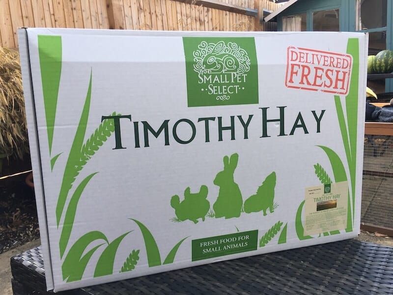 Small Pet Select Timothy Hay for Guinea Pigs