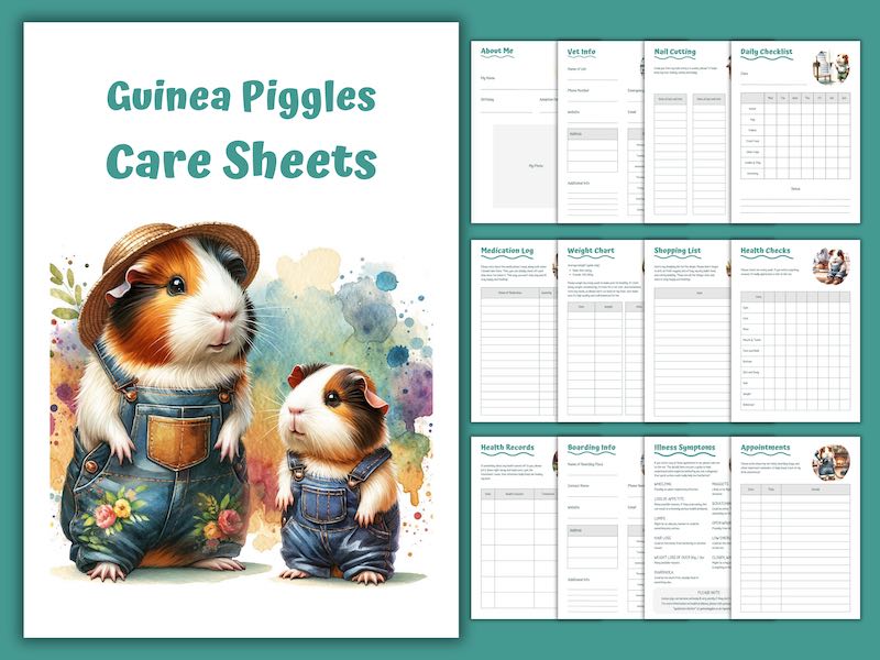 Guinea Pig Care Sheets PDF Download
